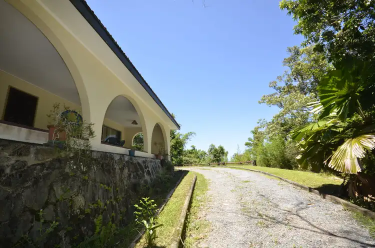Main view of Homely house listing, 80 Bamboo Creek Rd, Miallo QLD 4873