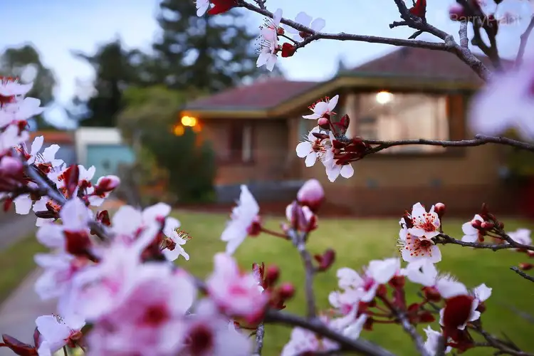 Sixth view of Homely house listing, 11 Aminga Court, Croydon VIC 3136