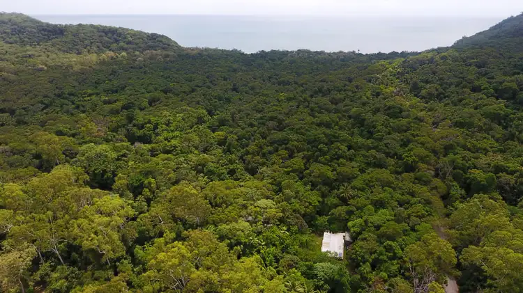 Second view of Homely house listing, 60 Silver Ash Road, Daintree QLD 4873