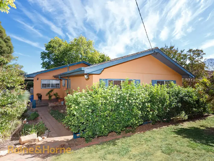 Second view of Homely house listing, 42 Mimosa Drive, Mount Austin NSW 2650