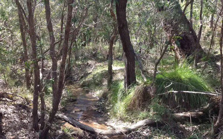 Sixth view of Homely land listing, Lot 97 (62) Ridgeway Drive, Quedjinup WA 6281