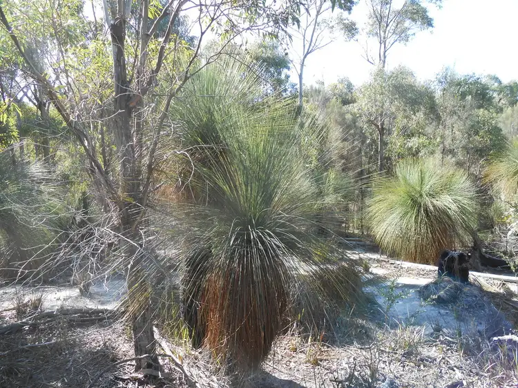 Fourth view of Homely rural property listing, 1 Hines Road, Flinders Island TAS 7255