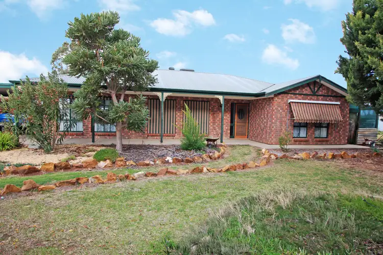 152 Barwon Street, Renmark SA 5341
