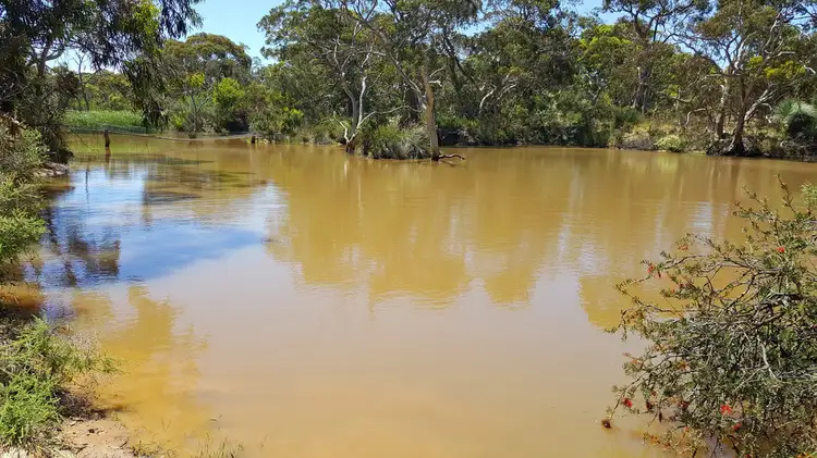 Third view of Homely rural property listing, 295 Gould Road, Currency Creek SA 5214