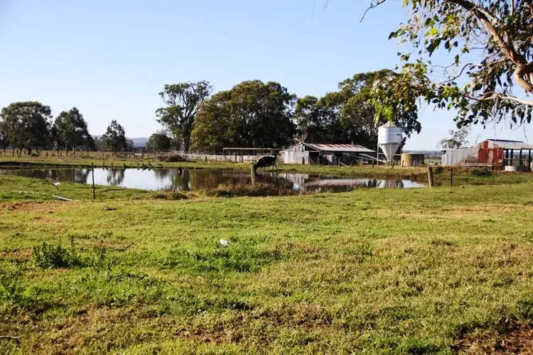 Seventh view of Homely rural property listing, 203 Back Valencia Creek Road, Boisdale VIC 3860