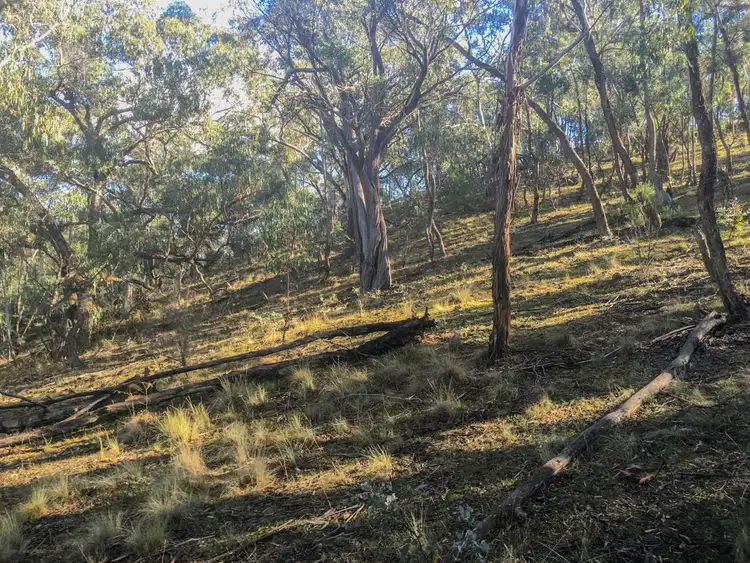 Seventh view of Homely rural property listing, 1567 Campbells Creek Road, Mudgee NSW 2850