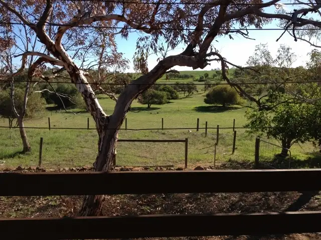 Main view of Homely house listing, 53 Bateman Street, Northampton WA 6535