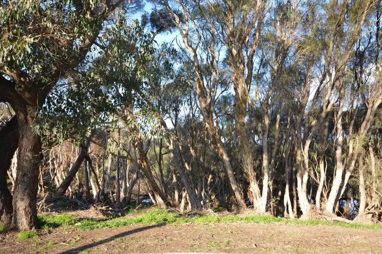 Fifth view of Homely land listing, 2/40 Barcombe Way, Gosnells WA 6110