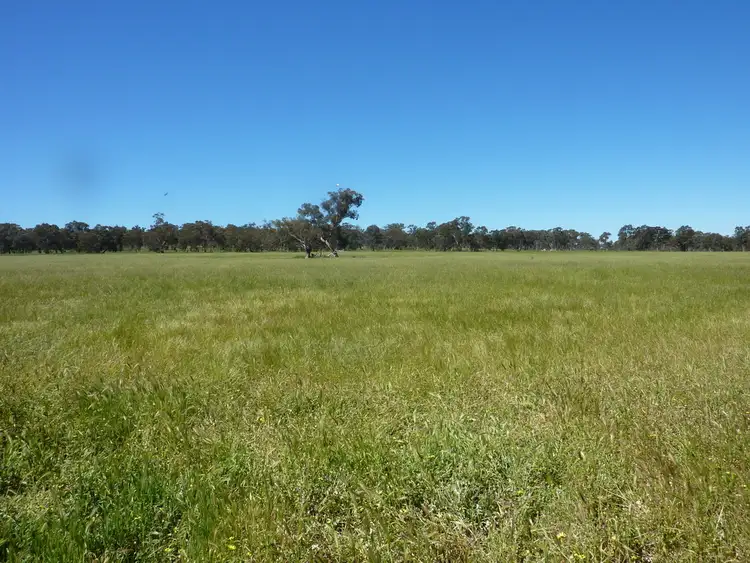 Seventh view of Homely rural property listing, 113 Coolamon Road, Wagga Wagga NSW 2650