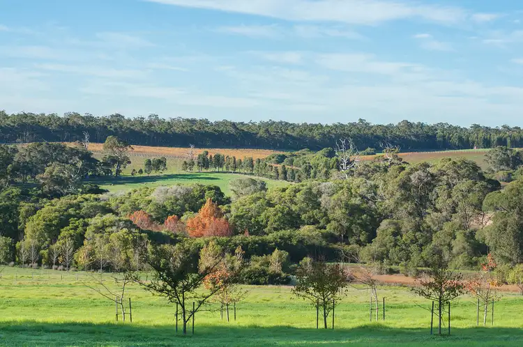 Sixth view of Homely rural property listing, 19 & 20 Morris Road, Forest Grove, Margaret River WA 6285