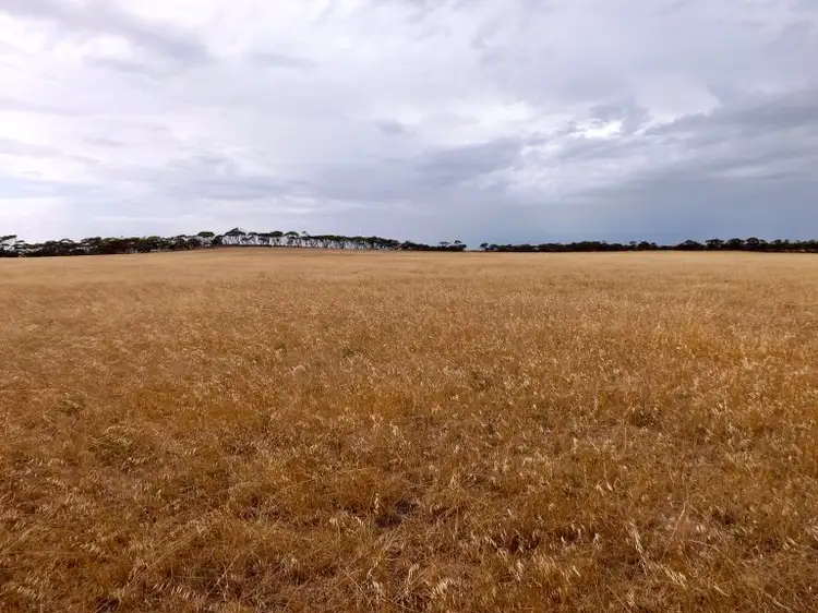 Fourth view of Homely rural property listing, Sec 24-31 Flinders Highway, Smoky Bay SA 5680