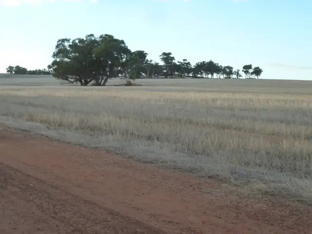 Sixth view of Homely rural property listing, 'Koolena' 1642 South Dubelling Road, Quairading WA 6383