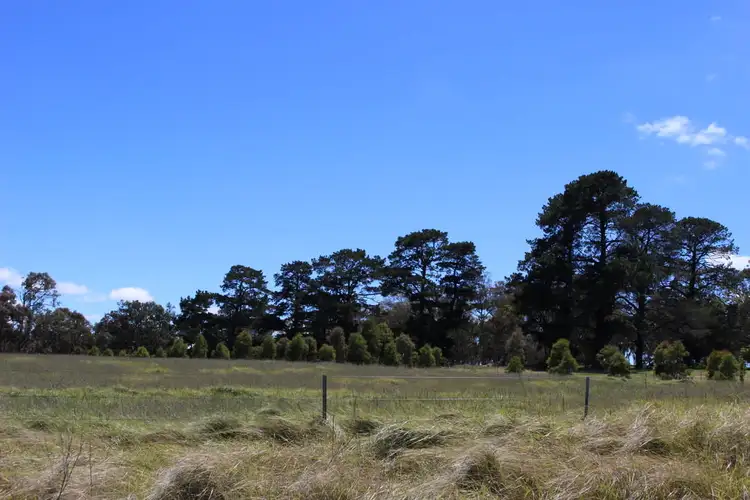 Third view of Homely land listing, Lot 1 Leechs Gully Road, Tenterfield NSW 2372