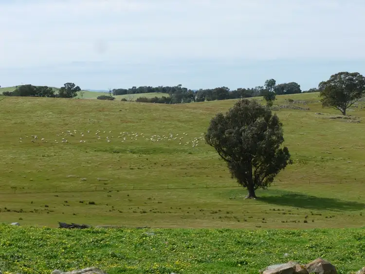 Seventh view of Homely rural property listing, 116 Moores Bridge Road, Springhurst VIC 3682