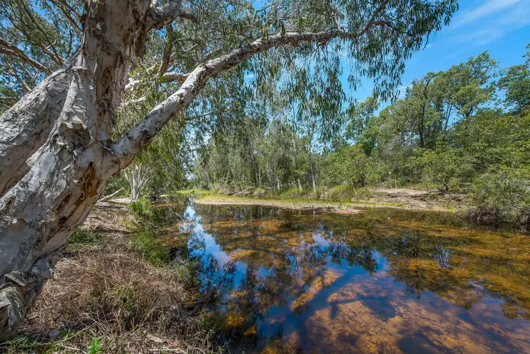 Second view of Homely house listing, 284 Forestry Road, Bluewater QLD 4818