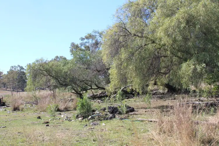 Sixth view of Homely rural property listing, 2592 Gin Gin Mt Perry rd, New Moonta QLD 4671