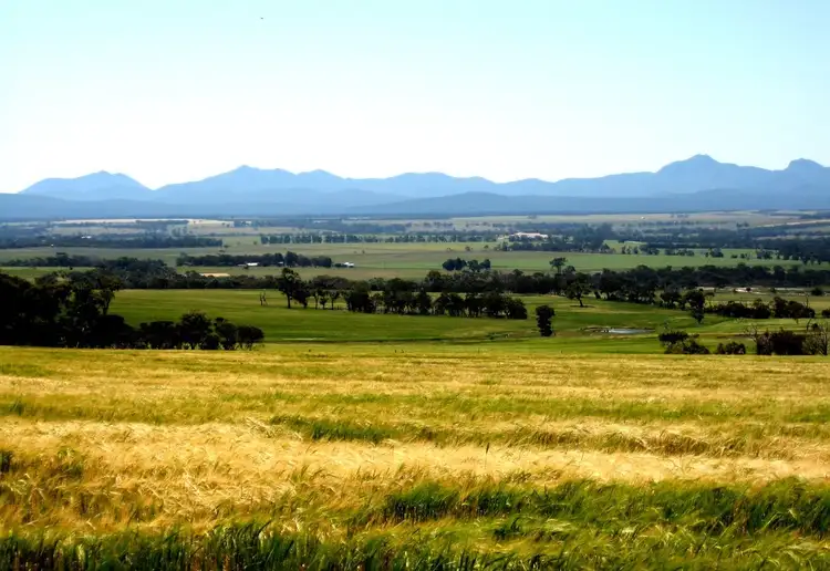 Second view of Homely rural property listing, 1254 Woogenellup Road, Mount Barker WA 6324