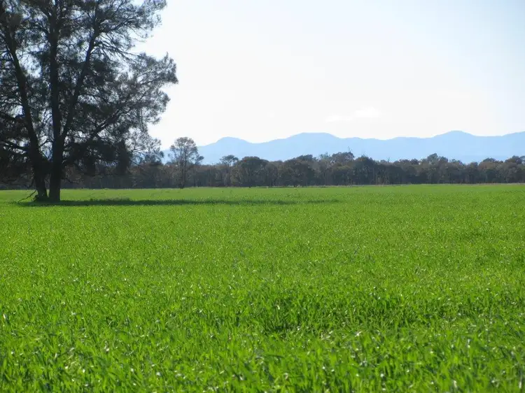 497 Nuable Road, Bohena Creek NSW 2390