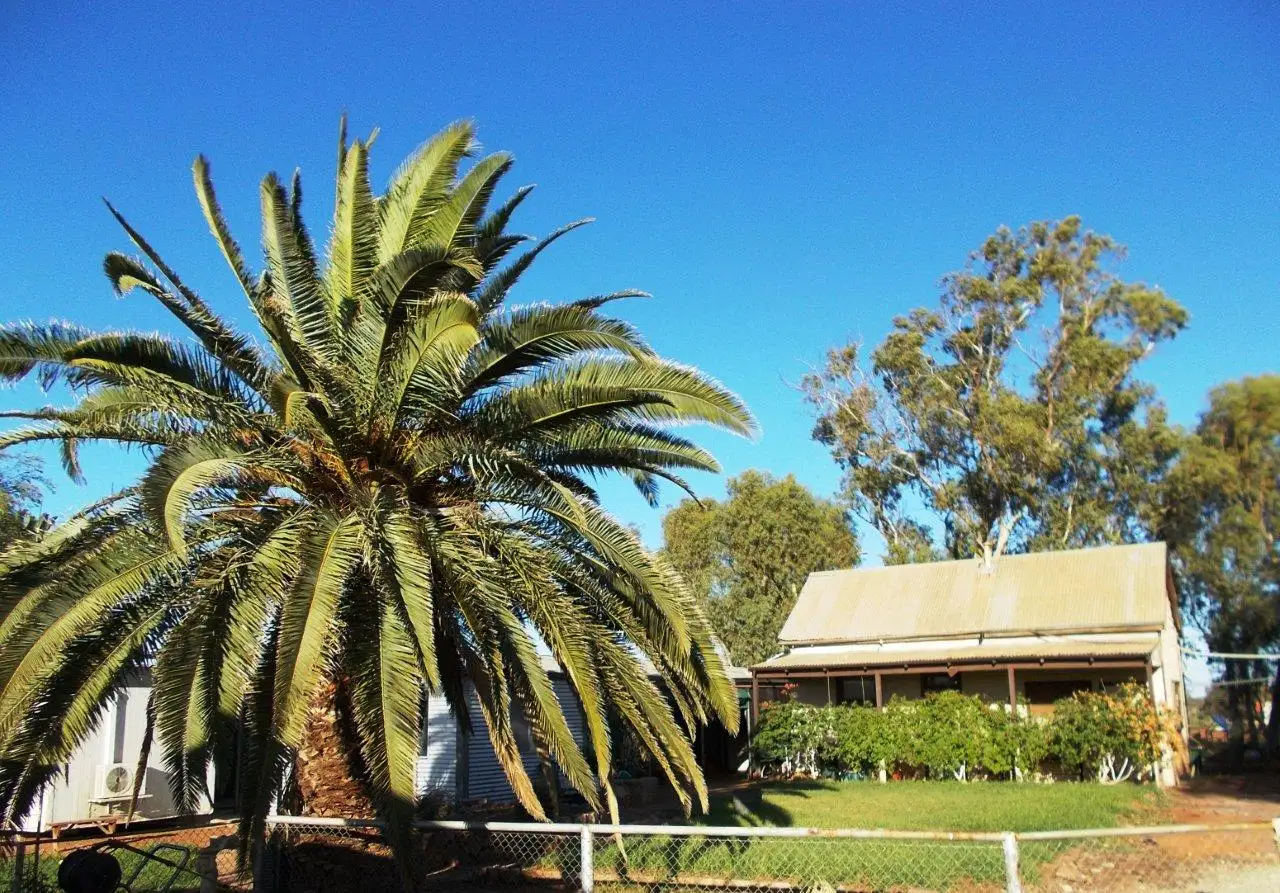 Main view of Homely rural property listing, - Tarmoola Station, Leonora WA 6438