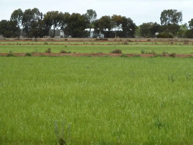 Main view of Homely rural property listing, - Barham-Deniliquin Rd, Caldwell NSW 2710