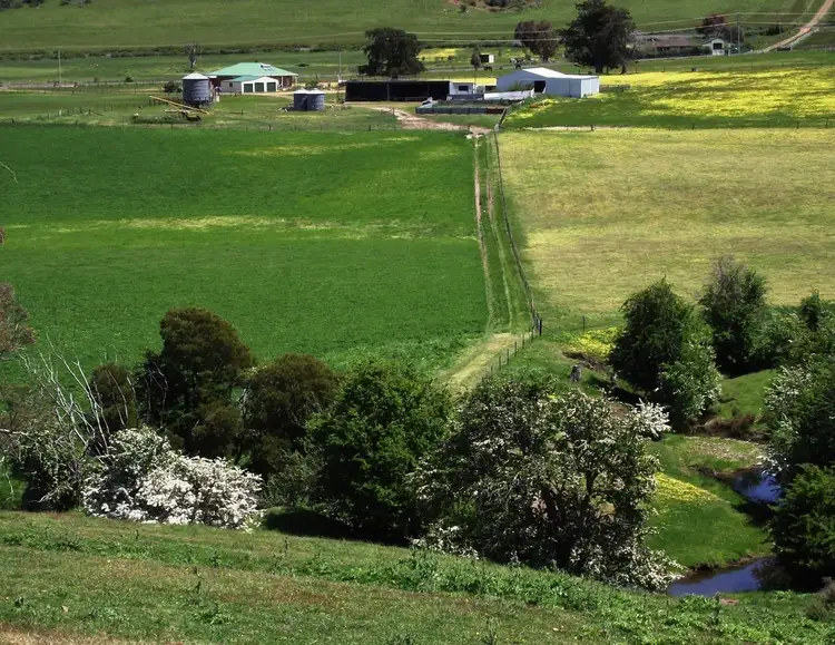 Sixth view of Homely rural property listing, 160 Mud Walls Road, Colebrook TAS 7027