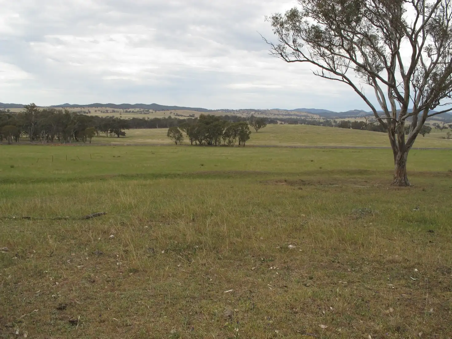 Main view of Homely rural property listing, Lot 233 Wollar Road, Mudgee NSW 2850