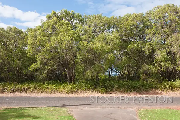 Seventh view of Homely house listing, 434 Geographe Bay Road, Quindalup WA 6281