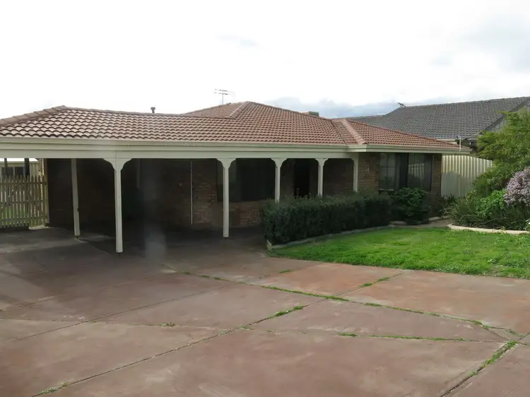Main view of Homely house listing, 14 Tern Loop, Yangebup WA 6164