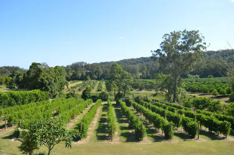 Second view of Homely house listing, 68 Kromes Road, North Arm QLD 4561