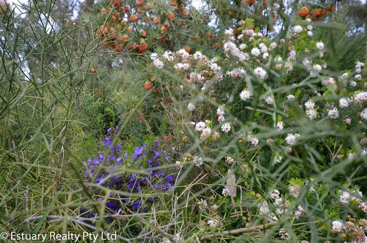 Sixth view of Homely rural property listing, 526 Southern Estuary Road, Lake Clifton WA 6215