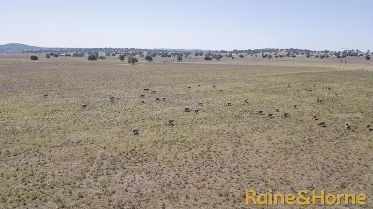 Fifth view of Homely rural property listing, 229 Combo Road, Geurie NSW 2818