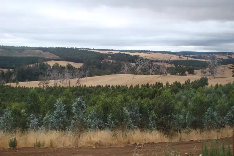 Fifth view of Homely land listing, 2 Quagamirup Rd, Bridgetown WA 6255