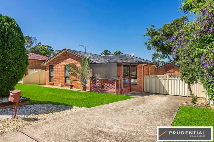 25 Benham Road, Minto NSW 2566