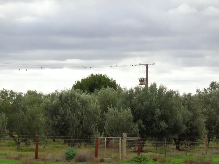 Fourth view of Homely land listing, 390 Port Gawler Road, Two Wells SA 5501
