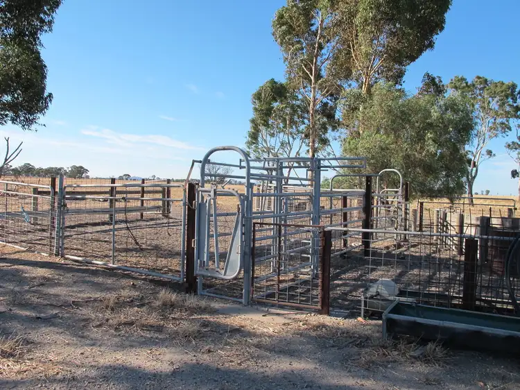 Sixth view of Homely rural property listing, 300 Mackies Road, Haven VIC 3401