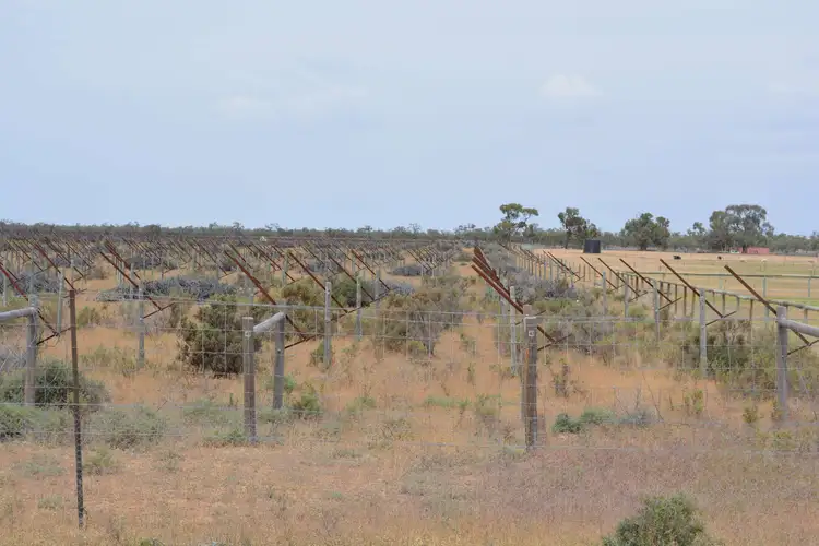 Fifth view of Homely land listing, Lots 46-2982 (Auction 7), Menindee NSW 2879