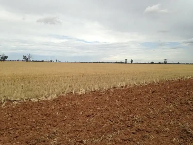 Sixth view of Homely rural property listing, Address available on request