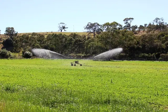 Third view of Homely rural property listing, 1146 Long Valley Road, Strathalbyn SA 5255
