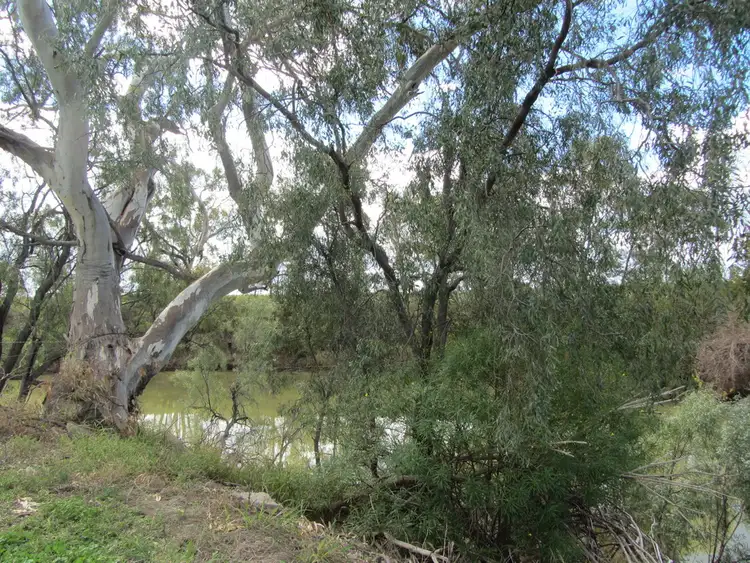 Seventh view of Homely house listing, I ''Rockdale'', Moree NSW 2400