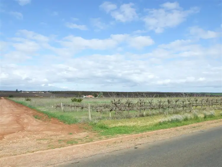Main view of Homely land listing, Lot 2 Garwood Lane Winkie via, Berri SA 5343