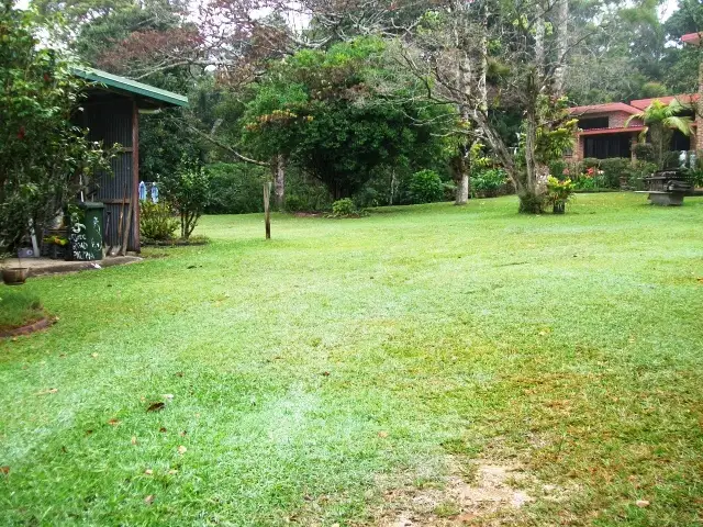 Seventh view of Homely house listing, 8 Mt Spec Road, Paluma QLD 4816