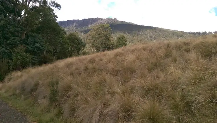 Fifth view of Homely rural property listing, lot 7/600 Mount Barrow Rd, Nunamara TAS 7259