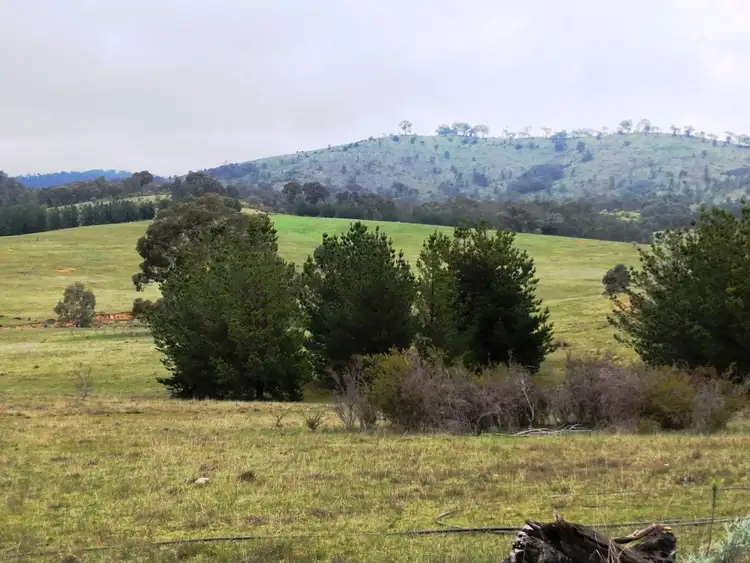 223 Morris Lane, Moonambel VIC 3478