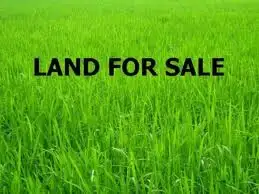 Main view of Homely land listing, 26 Carramar Drive, Gol Gol NSW 2738