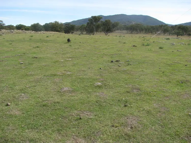 Seventh view of Homely rural property listing, 2093 Bundarra Road, Armidale NSW 2350