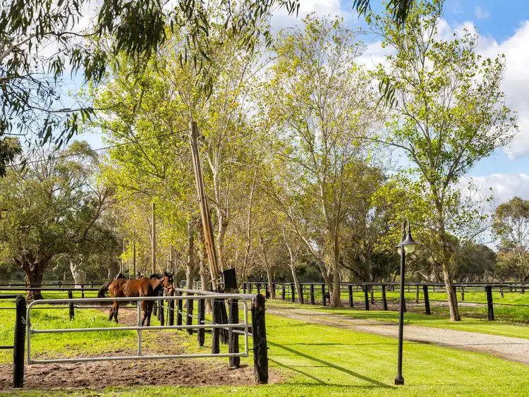 509 Young Road, Baldivis WA 6171