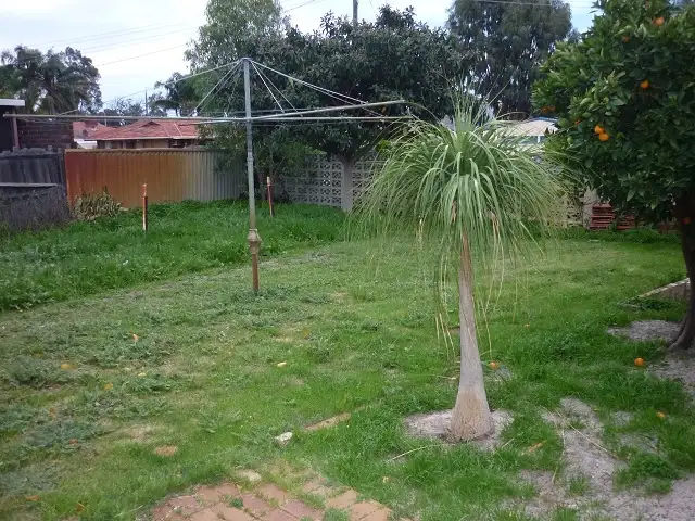 Sixth view of Homely house listing, 111 Crandon Street, Gosnells WA 6110