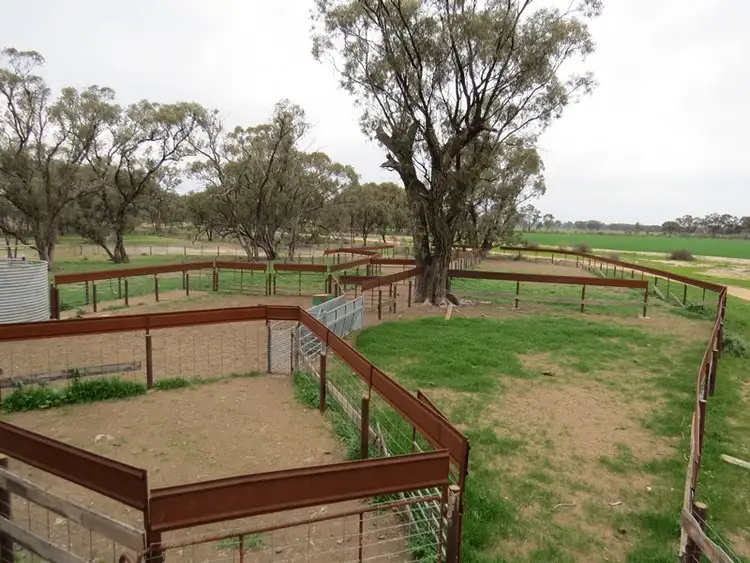 Fifth view of Homely rural property listing, "Lynore" Wakool Road, Barham NSW 2732