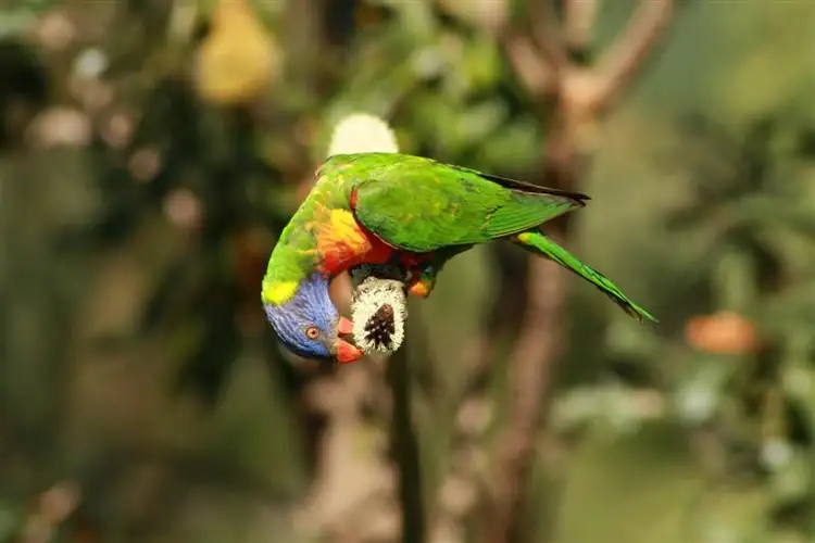 Fifth view of Homely land listing, 54a Palmerston Crescent, Beerwah QLD 4519