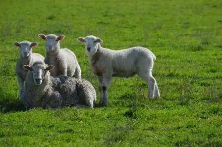 Second view of Homely rural property listing, Section 36,38 Batemans road, Hatherleigh SA 5280